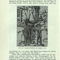 Ruhmesbl&auml;tter der Technik 6
