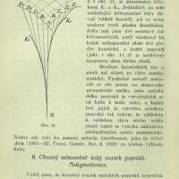 N&aacute;stin geometrick&eacute; optiky 2